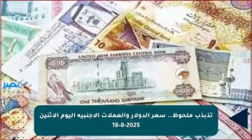 تذبذب ملحوظ.. سعر الدولار والعملات الأجنبية اليوم الإثنين 18-8-2025